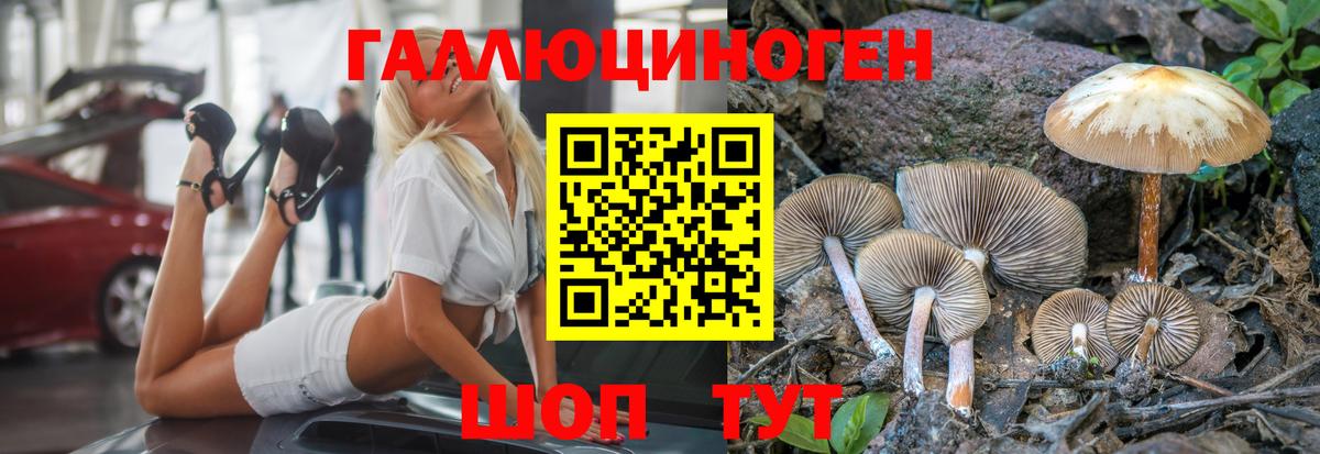 Псилоцибиновые грибы MAGIC MUSHROOMS  Вход с VPN  Холмск 